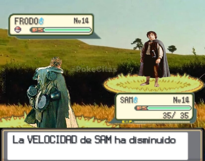 Memes Pokémon (@pokecitas) on Twitter photo 