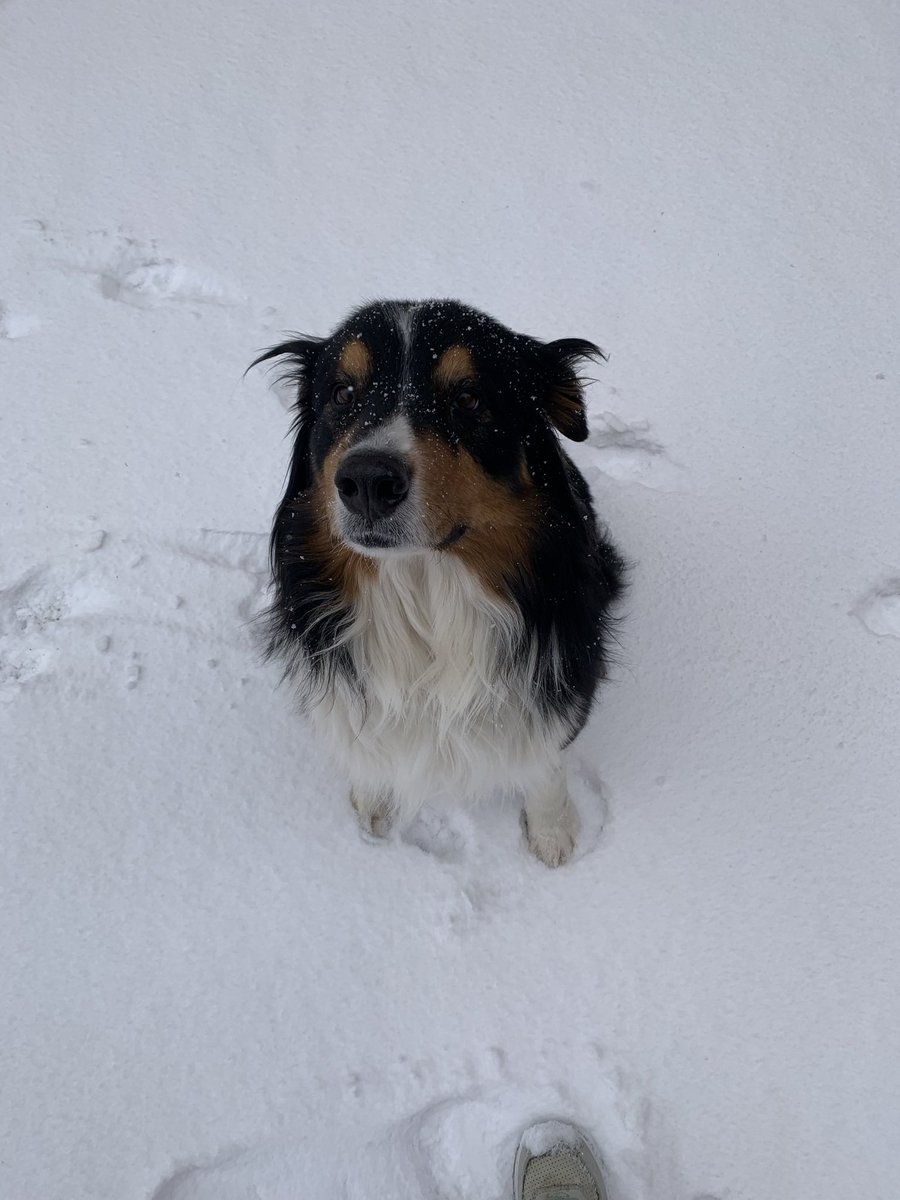autumnkunce's tweet photo. My happy boy https://t.co/6vBix1GtIl
