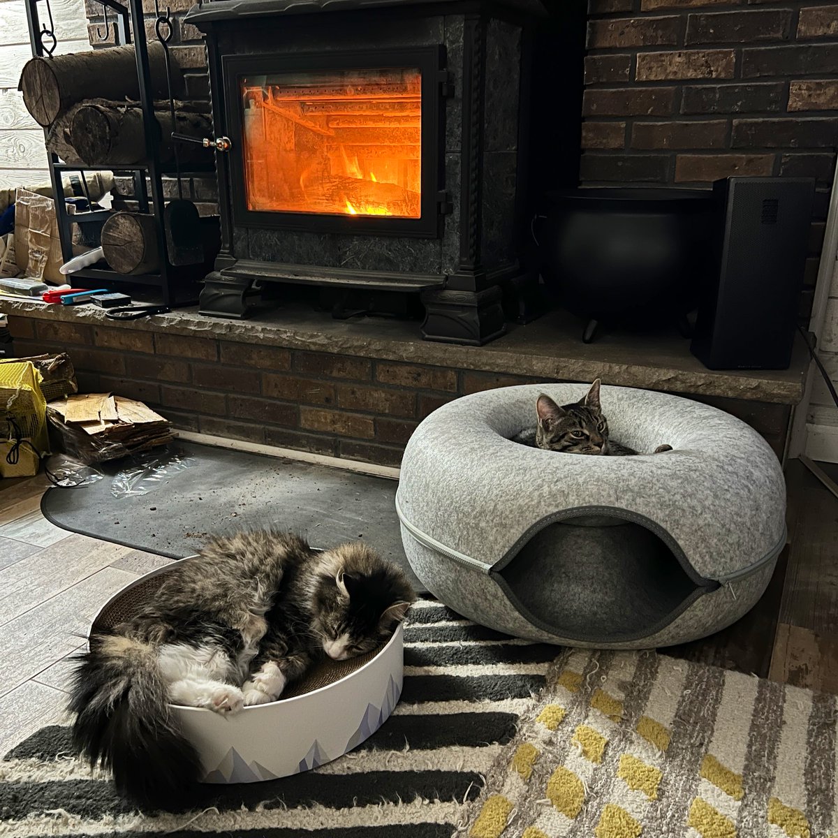 chrismel tweet media