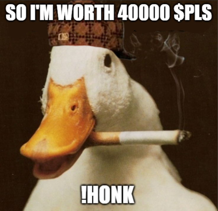 0xExecute's tweet photo. #TheGooses on #PulseChain 

https://t.co/Ypzn1CPO6h https://t.co/iisKok338i