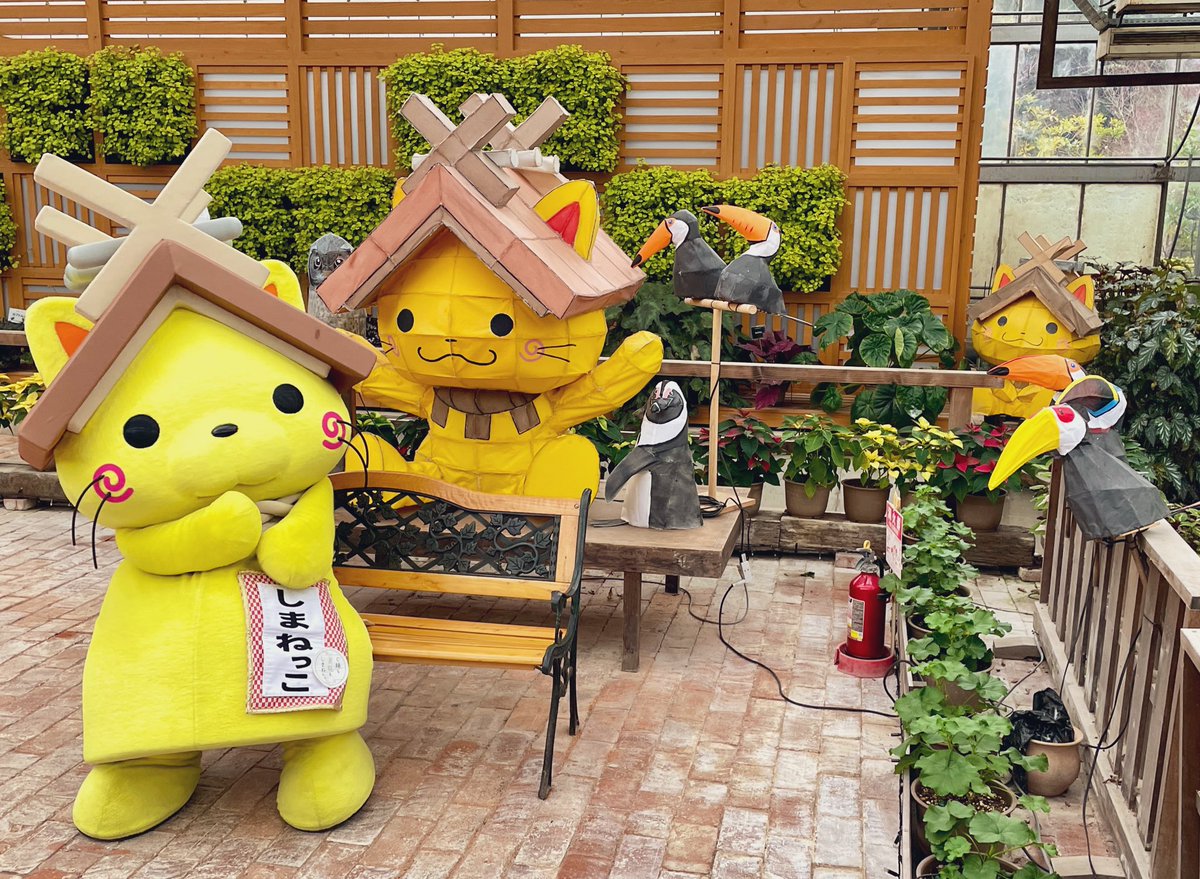 shimanekko_'s tweet image. おはにゃう！
みんにゃ集まったかにゃ？( • ̀ω•́  )✧
今日の議題は
「島根のおいしい」についてにゃ🍴
#しまねっこ #会議 #ごっこ 
#松江フォーゲルパーク #松江市