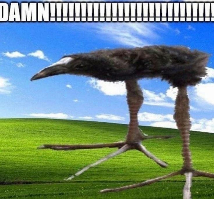 Chiri_duck's tweet photo. @MildLimerence Literally going feral for the third part https://t.co/ZIZaJfyJtl