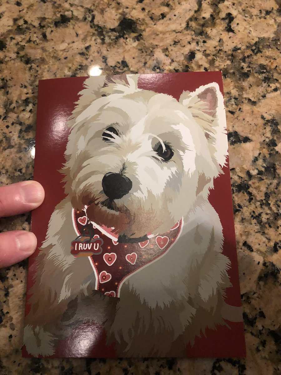 AlexisLarsenVA's tweet photo. My dad just gave my mom a Valentine’s card from our dog that just passed away this year… IM BAWLING 🥺😭 https://t.co/FkR8YYIznx