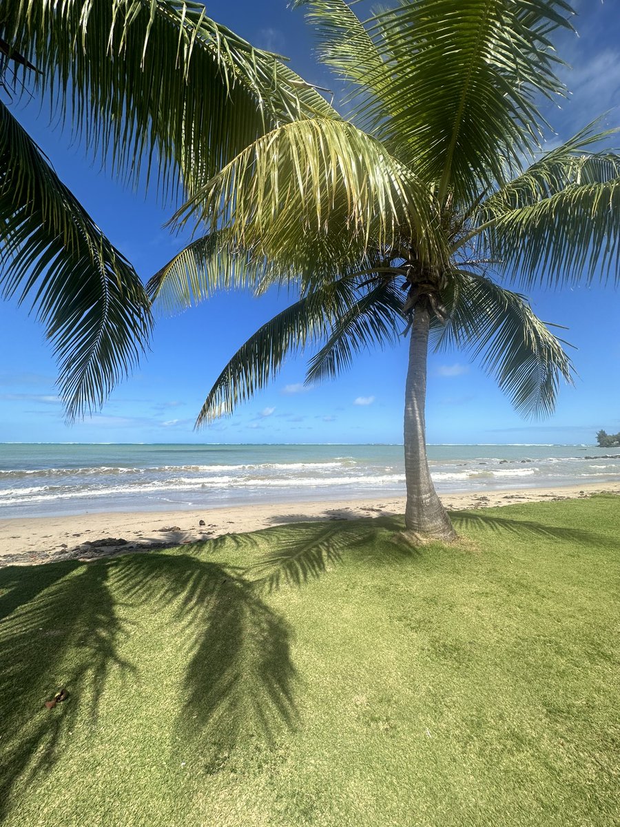 _sndewitt's tweet photo. Puerto Rico, I miss you already. 🇵🇷 https://t.co/VprBlErCjI