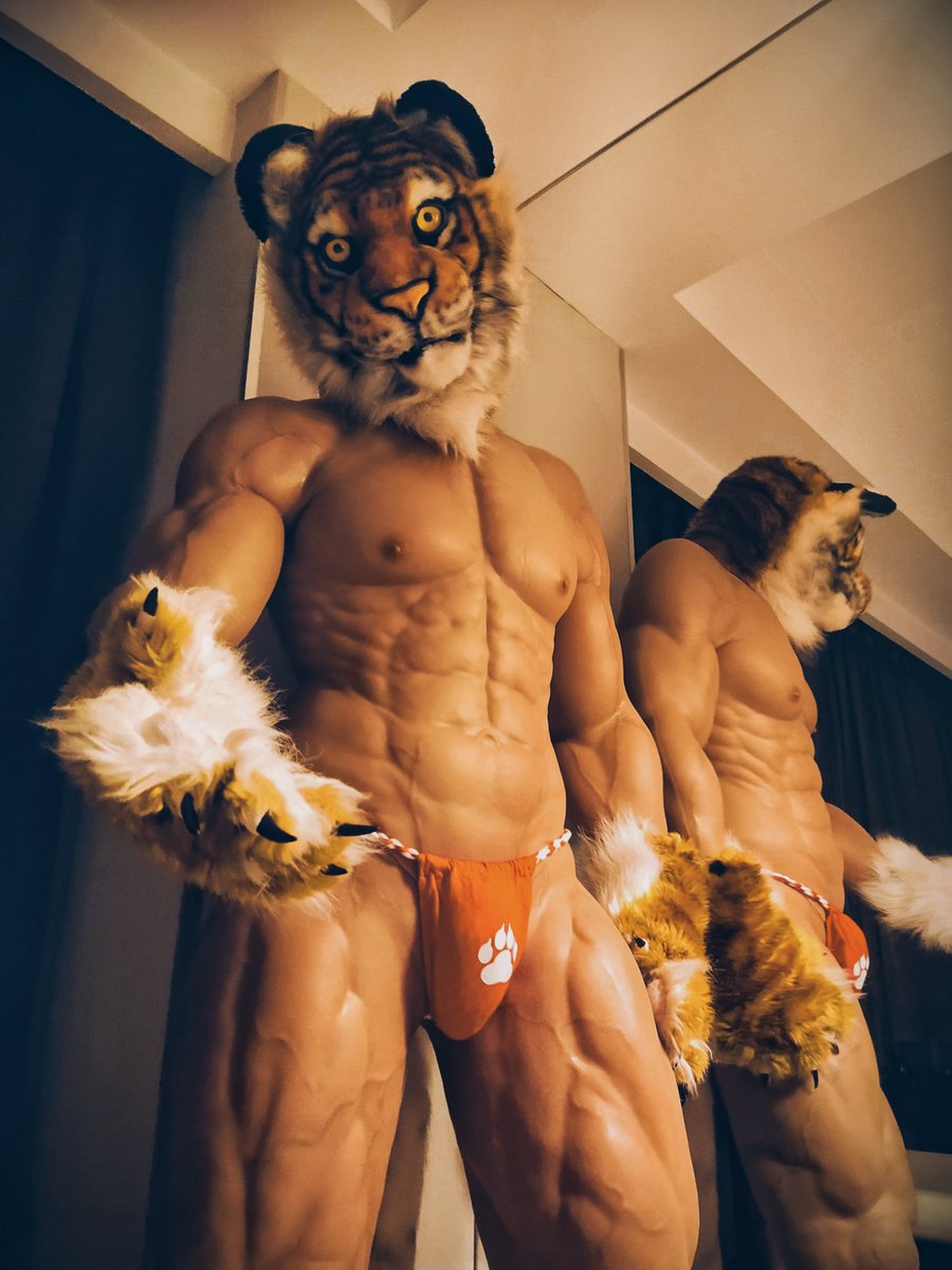 KaosaGaou's tweet photo. #FursuitEveryday Weretiger Musclesuit
#ふんどしの日 
ハッピーバレンタイン🐯💕いい褌の日🐯
Happy valentine's day, also happy fundoshi day! 🐯💕 https://t.co/G7EQkWArd8