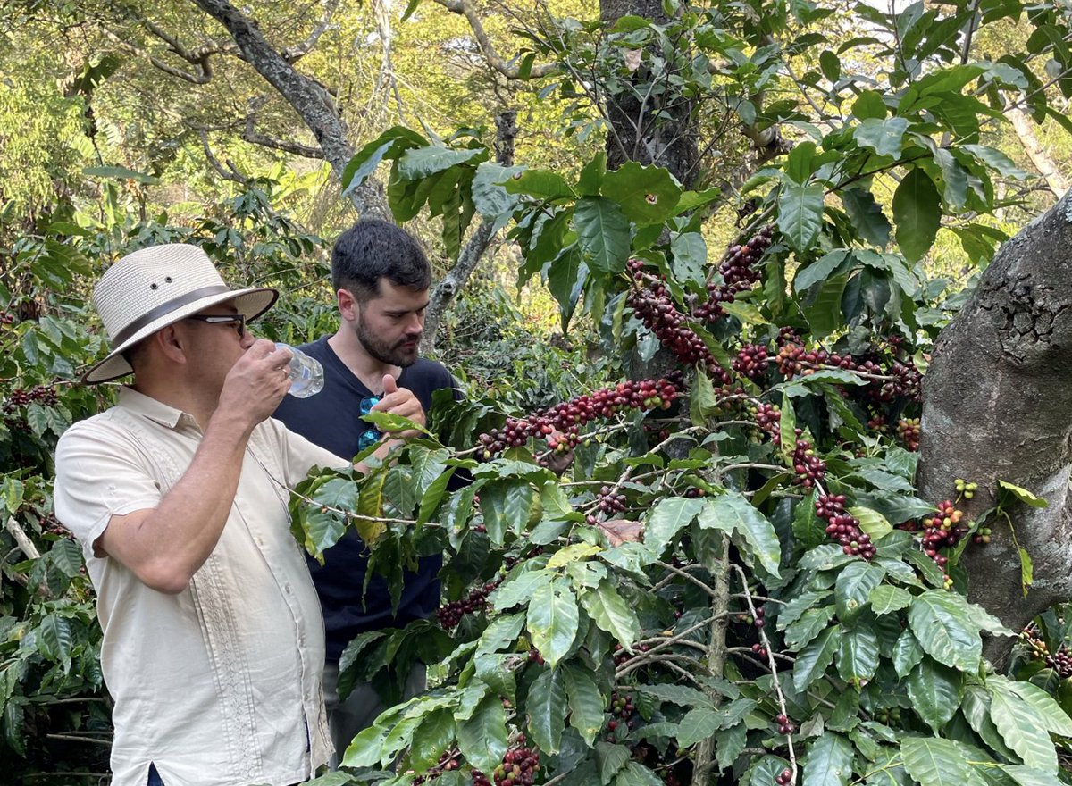 University of San Francisco Economics Department tweet media