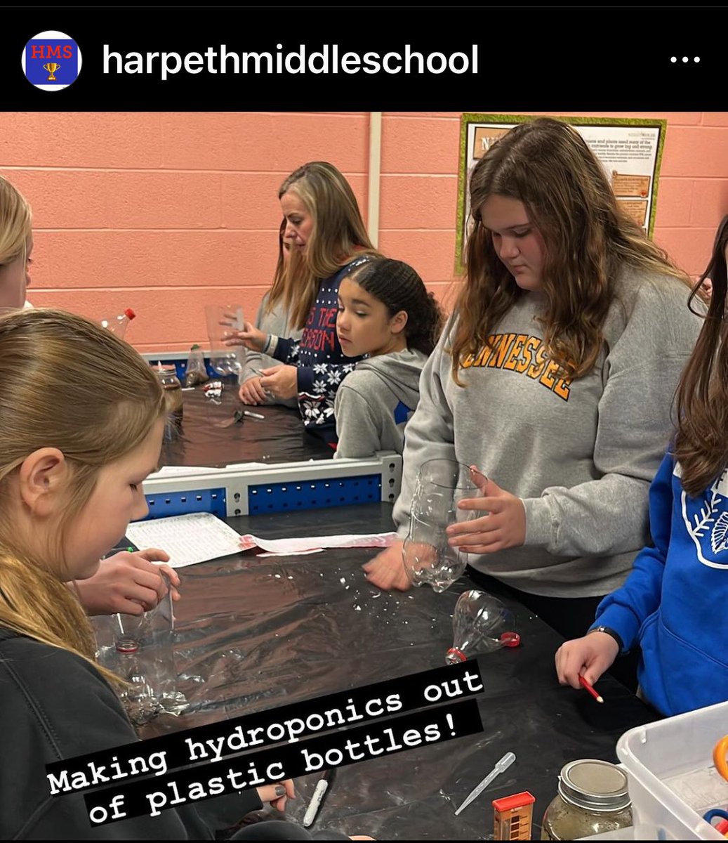 HarpethMiddle tweet media