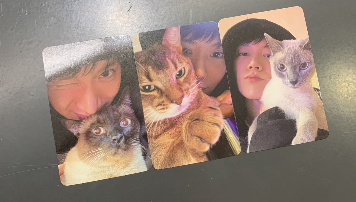 Fz_Fang's tweet photo. ลูกแม่ 3 คน 3 คาแรคเตอร์ แต่อ้วมๆๆๆๆ ทั้งหมด น่ารักที่สุดในโลก ㅠㅠㅠㅠㅠㅠㅠㅠㅠㅠㅠㅠㅠㅠㅠㅠㅠㅠㅠㅠㅠㅠㅠ
#TEN_Nightwalker https://t.co/sO4xGOBouu