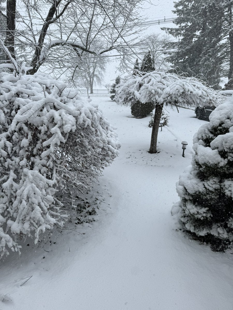 R. McLelland-Crawley 🌻 tweet media