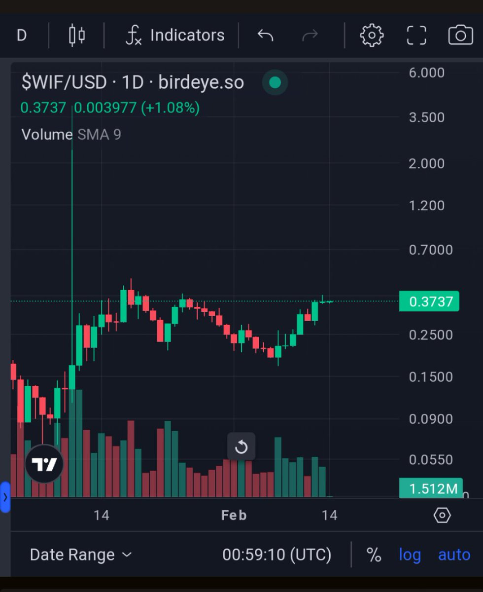 $WIF looks prime for a breakout here. 

I have put on my hat 🐕 🎩
