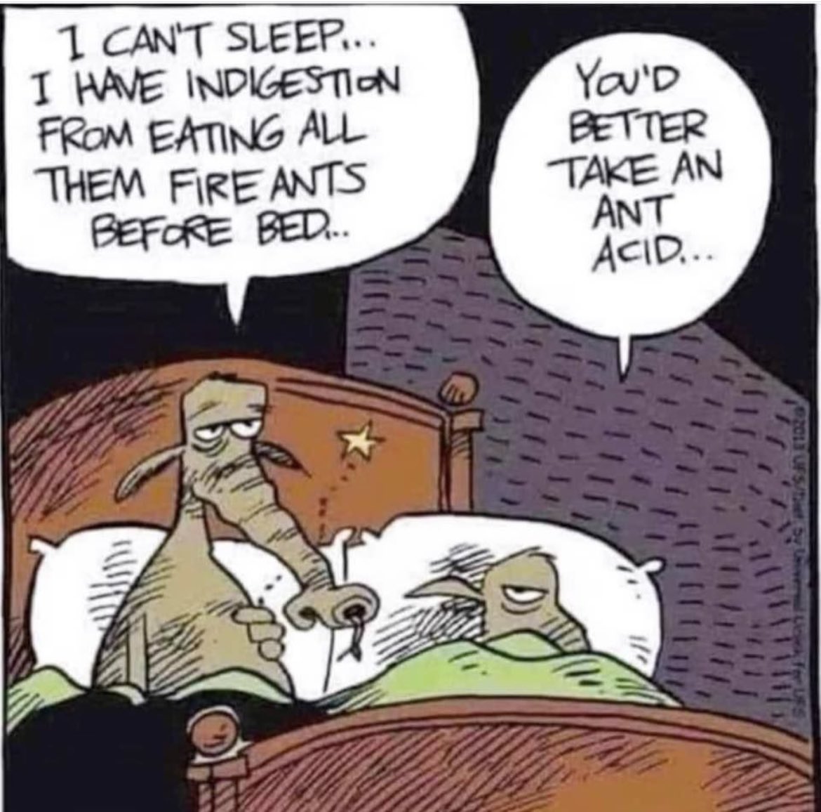 🤣