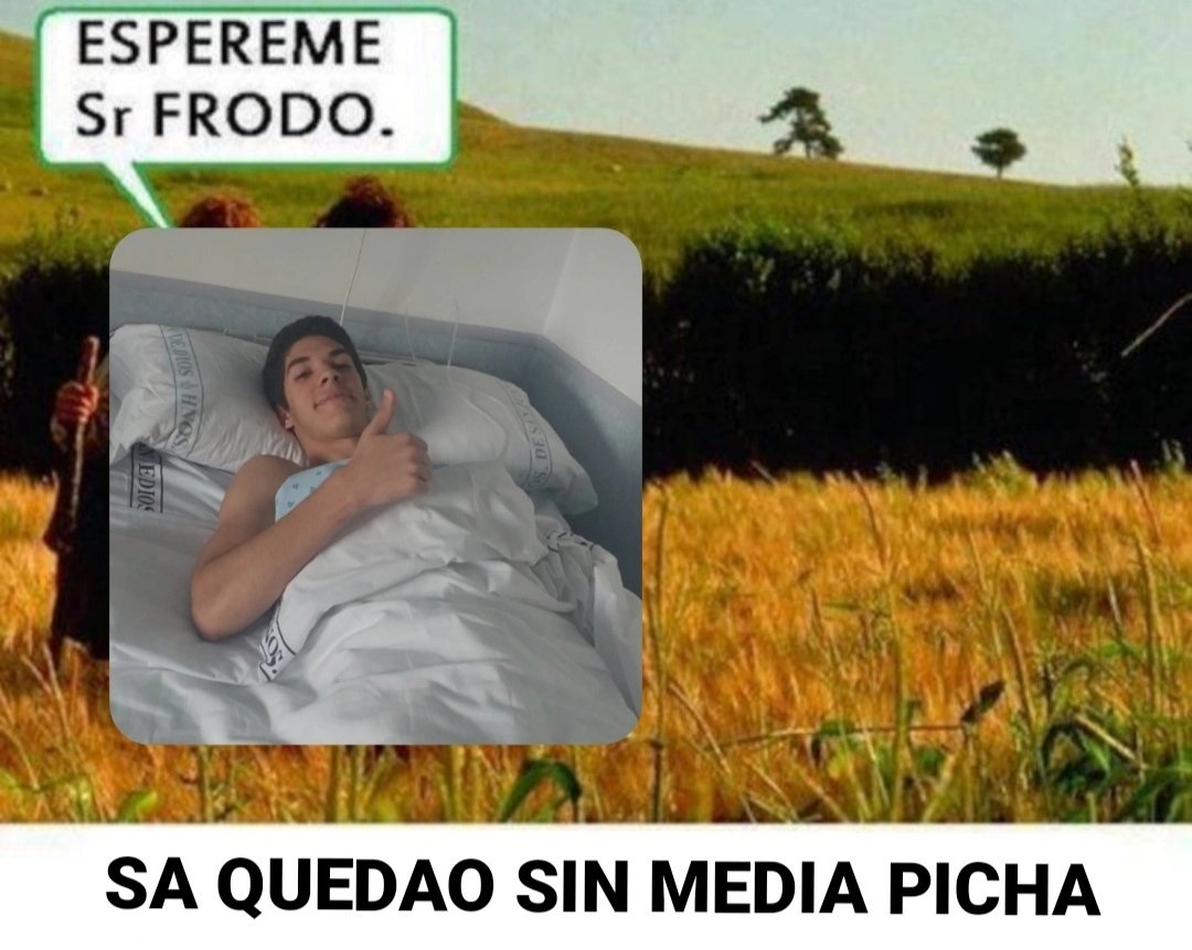 Blue_Drago01's tweet photo. ______💭"ESPEREME Sr FRODO."
  🚶🏻‍♂️🚶🏼‍♂️
       SAM VA LENTÍN https://t.co/HbvVMIA3OA