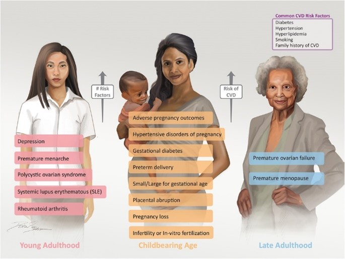 Collection of reviews by <a href="/ISHVnews/">Inova Schar Heart and Vascular</a> faculty in Frontiers in CV Medicine -- broad range of topics &amp; more added every day bit.ly/3OHciwq

<a href="/GarimaVSharmaMD/">Garima Sharma M.D</a>, <a href="/AndrewNguyen_DO/">Andrew H. Nguyen, DO</a>, <a href="/JamieLWKennedy/">Jamie Kennedy</a>, et al  on Sex specific CV Risk Factors for CVD  bit.ly/3UA5EvK