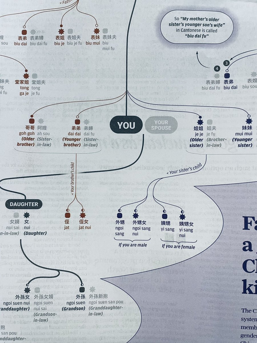 mduhalde96's tweet photo. How to address your relatives in Cantonese? Time to grab your SCMP copy! By @KalizLee https://t.co/EBz3H4UzOt