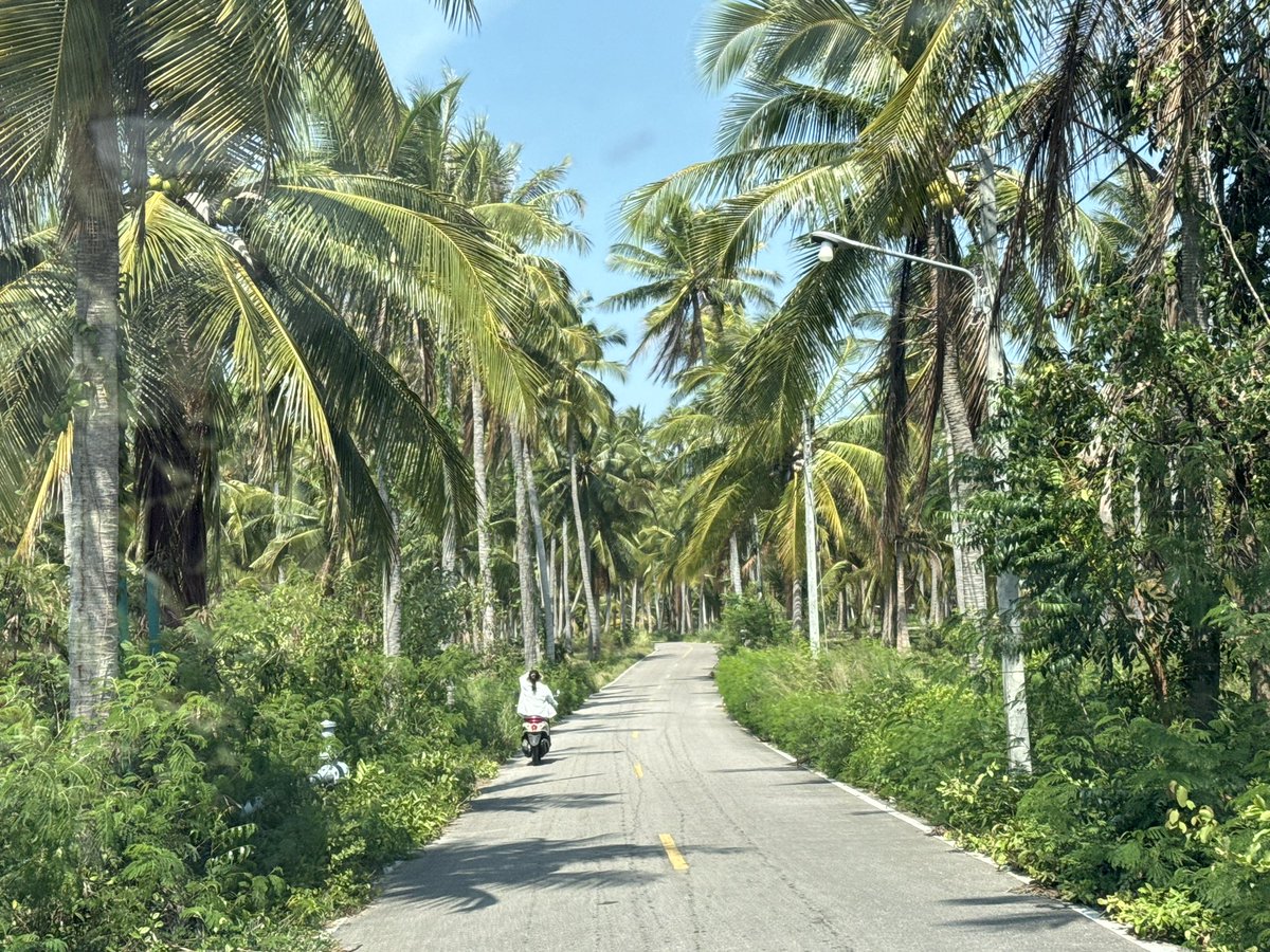 Driving around the Thailand with the pase to explore 🙂 Not trying to get from point A to point B, but to capture very moment and every place 🥰