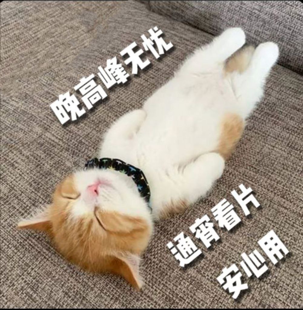 gansubuda's tweet photo. 【没有时间限制，想用多久就用多久，流量用完为止】
高速刷tg ！8K4K YouTube很流畅，看片无压力！晚高峰都没有压力。
10元200G流量
15元400G！
注册链接：https://t.co/p36hzcbnpG https://t.co/gLlUmWMmnn