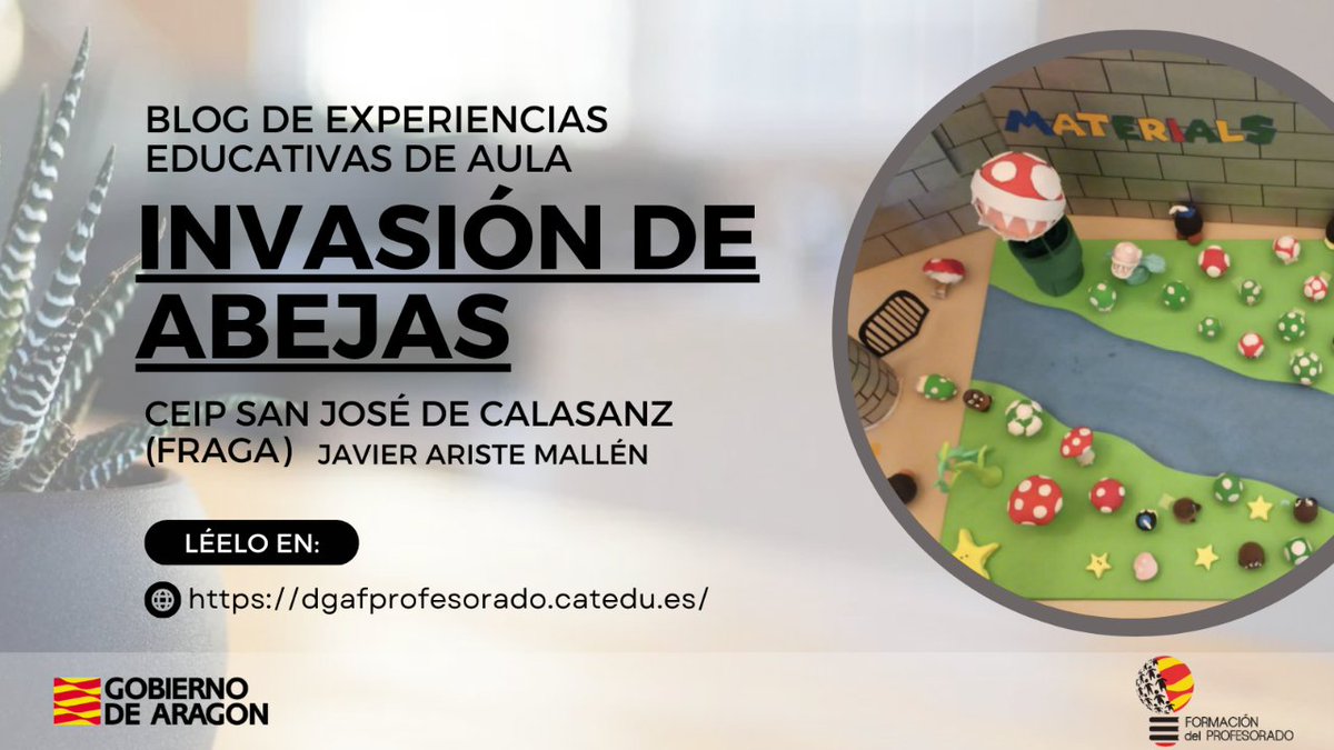 CP María de Ávila tweet media