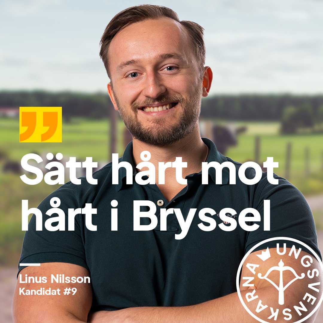 Linus Nilsson tweet media
