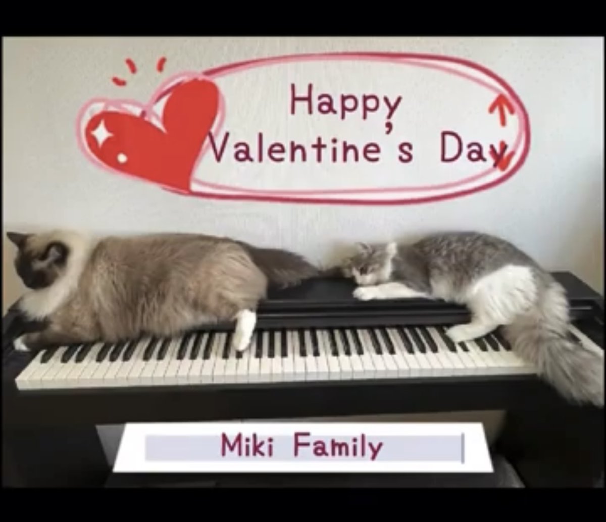 TKAProject_mng's tweet image. 💌Happy Valentine&apos;s Day💌
2作目はMiki Family @miki_sts さんの作品🎹🐈　これまでもプロジェクトの企画にご参加頂いていますが、初のボーカル入りですね✨

Miki Family x TK | Happy Valentine&apos;s day【#83-2】
youtube.com/shorts/1W9x41R… 

#TKAmenaNFTProject