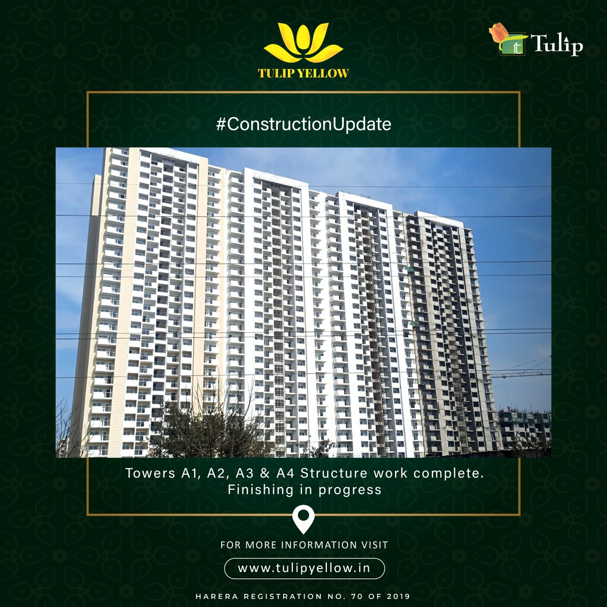 Tulip Group tweet media
