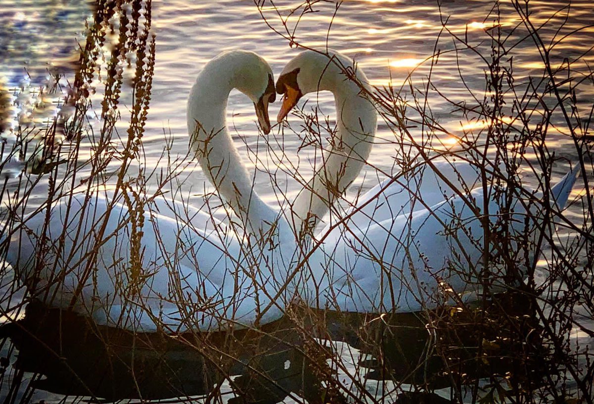 Happy Valentine’s day and print a photo off if you’ve forgot and save the day!! ❤️