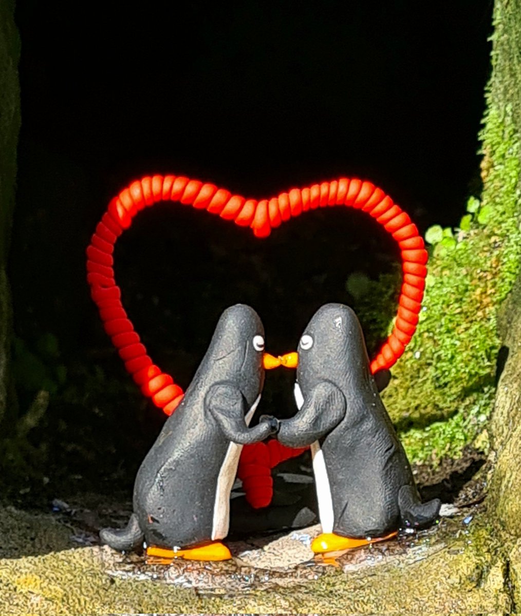 Happy Valentine's Day to all our fellow penguins, and to everyone else as well! #glasgow #glasgowpenguins #streetart #glasgowstreetart #ValentinesDay #kelvinwalkway #thepenguinsinthewall #penguin #penguinlove