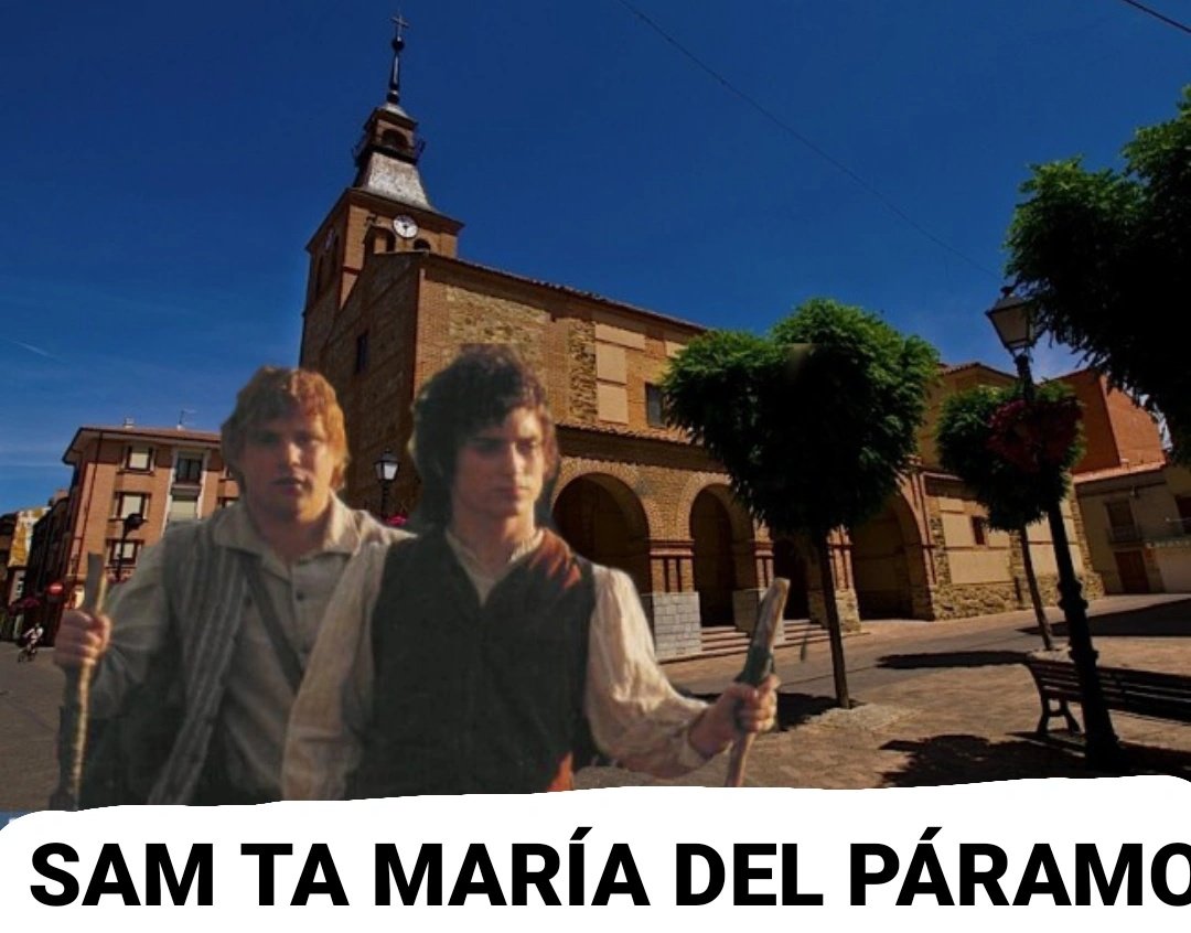 Memes parameses tweet media