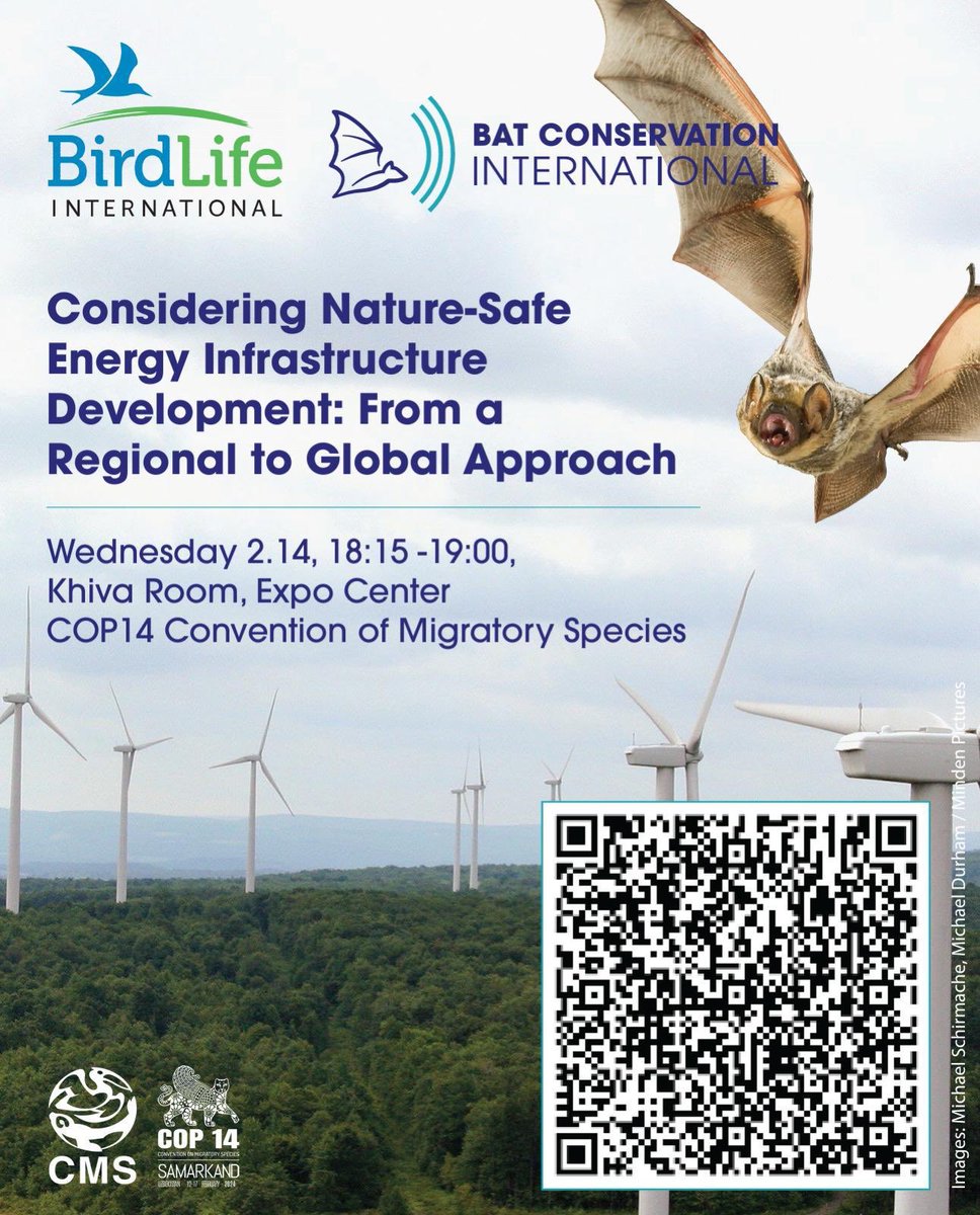 Happening today at the #CMSCOP14 - learn about the importance of lowering the risk of wind energy production to bats 🦇& birds 🦅@BatConIntl @GlobalBatNet @eurobat_org @voigtbatlab @BirdLife_Policy