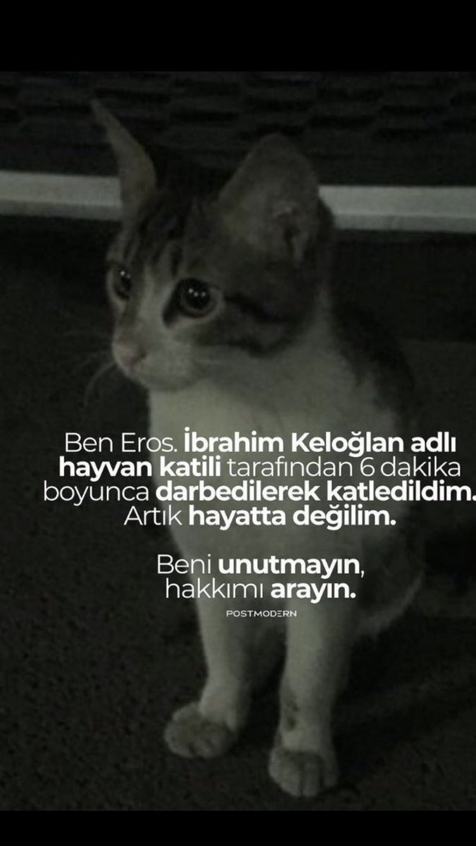 #ibrahimkeloglantutuklansın