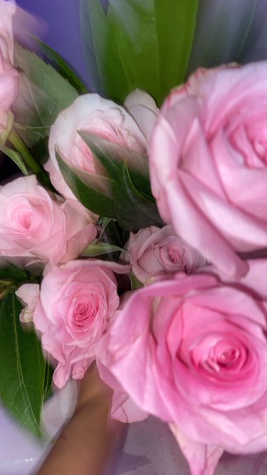 💕✨💖✨ https://t.co/QVo9ipla6j