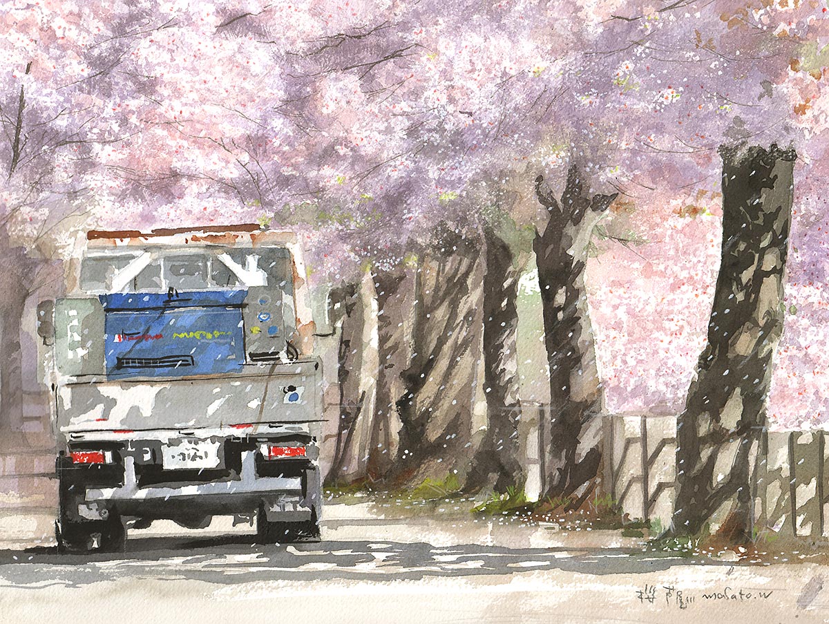 water18color's tweet photo. 桜の道　#水彩画 #watercolor #手描き https://t.co/2SAJPzYMhz