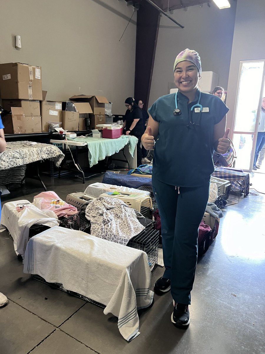 sav_nandez's tweet photo. Extreme Manscaping— My friends and I helped w/ high volume neuter/spay of ~450 cats at the Yuma spayathon! Everyone really put their heart into this event. I was able to do 25+ neuters and a spay with guidance. One of the kittens only took 2 min ✂️🥜 #slayathon https://t.co/JXO9Zwlt2C