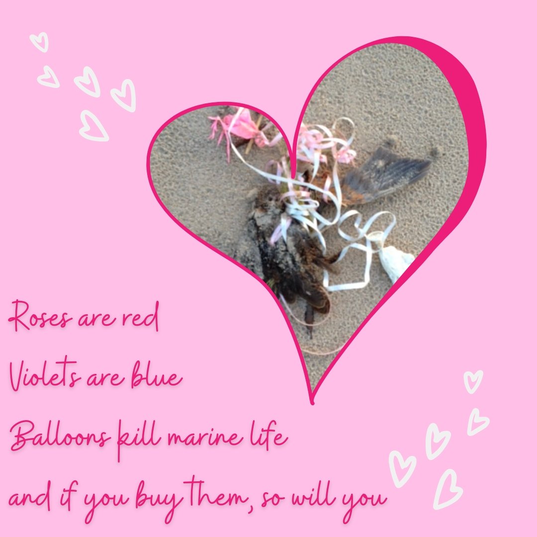 Dr. Nimit Kumar tweet media