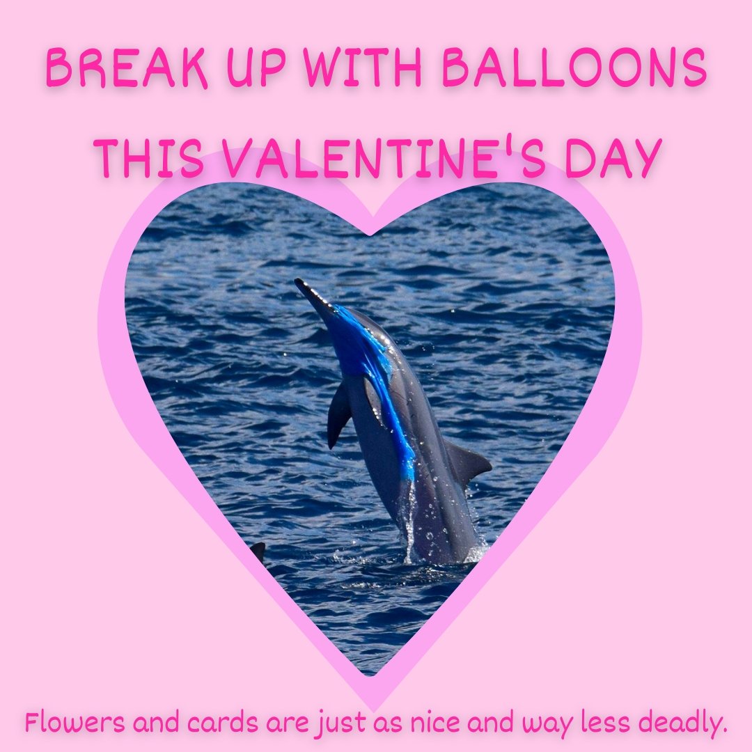 🚫 DO YOUR PART AND OPT OUT OF BALLOONS! ✋

Every year, countless balloons end up in the #ocean &amp; around specific days like #ValentineDay, we see an increase. 🤢 They harm #marine life through consumption and entanglement.🤮

#balloonfreeseas #ValentinesDay #PopIt #NeverAgain