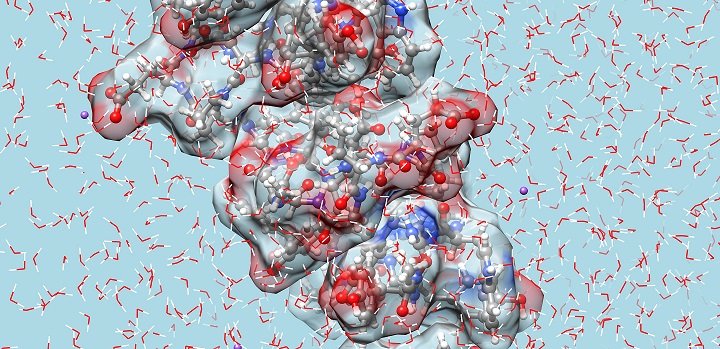 Thanks to @isisneutronmuon for highlighting Harry's work on biomolecular hydration and self-assembly, combing neutron scattering and structural refinement modelling. Check out his @Biomac_ACS here