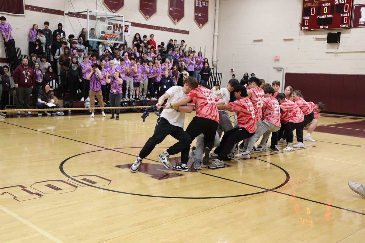 Woolie News tweet media