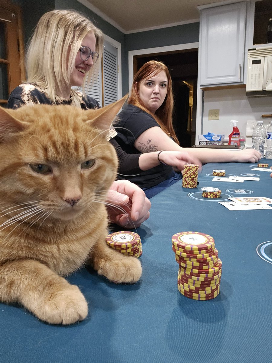 CardSharkLive's tweet photo. https://t.co/ofzrq9lTmg