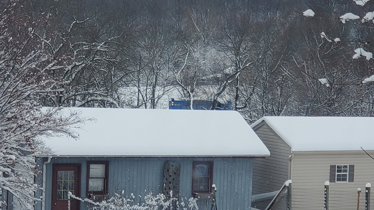 You have to look closely over the ridge of the shed, but there is a train engine in my back yard!