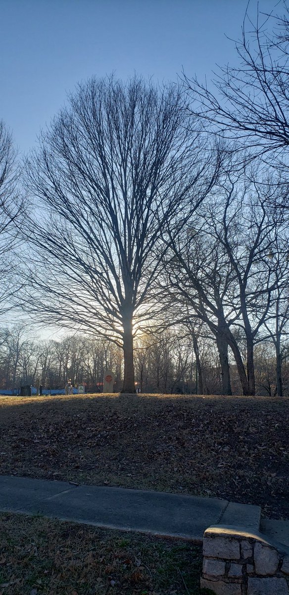 IamCarlaPri's tweet photo. The winter beauty's of Atlanta https://t.co/wLNLd11TgH