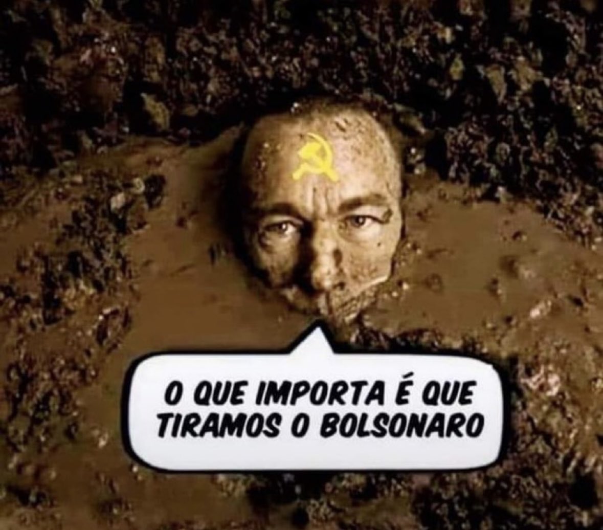 roxmo's tweet image. 