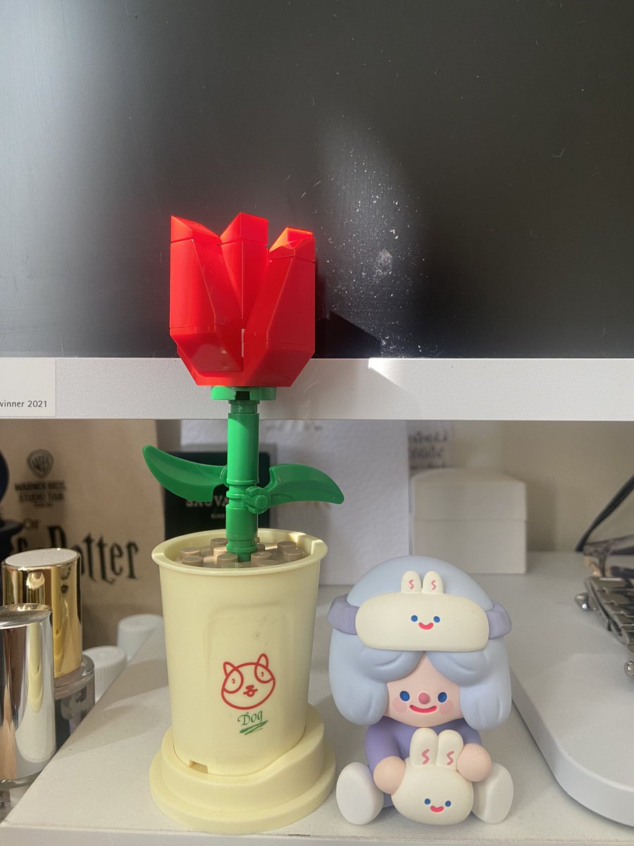 ดอกทิวลิป ของม๋าจ้วน เก่งมากตั้งใจต่อให้อย่างดีเยย 🫳🏻🫳🏻🐶✨ <a href="/cc00perr/">cooper</a>