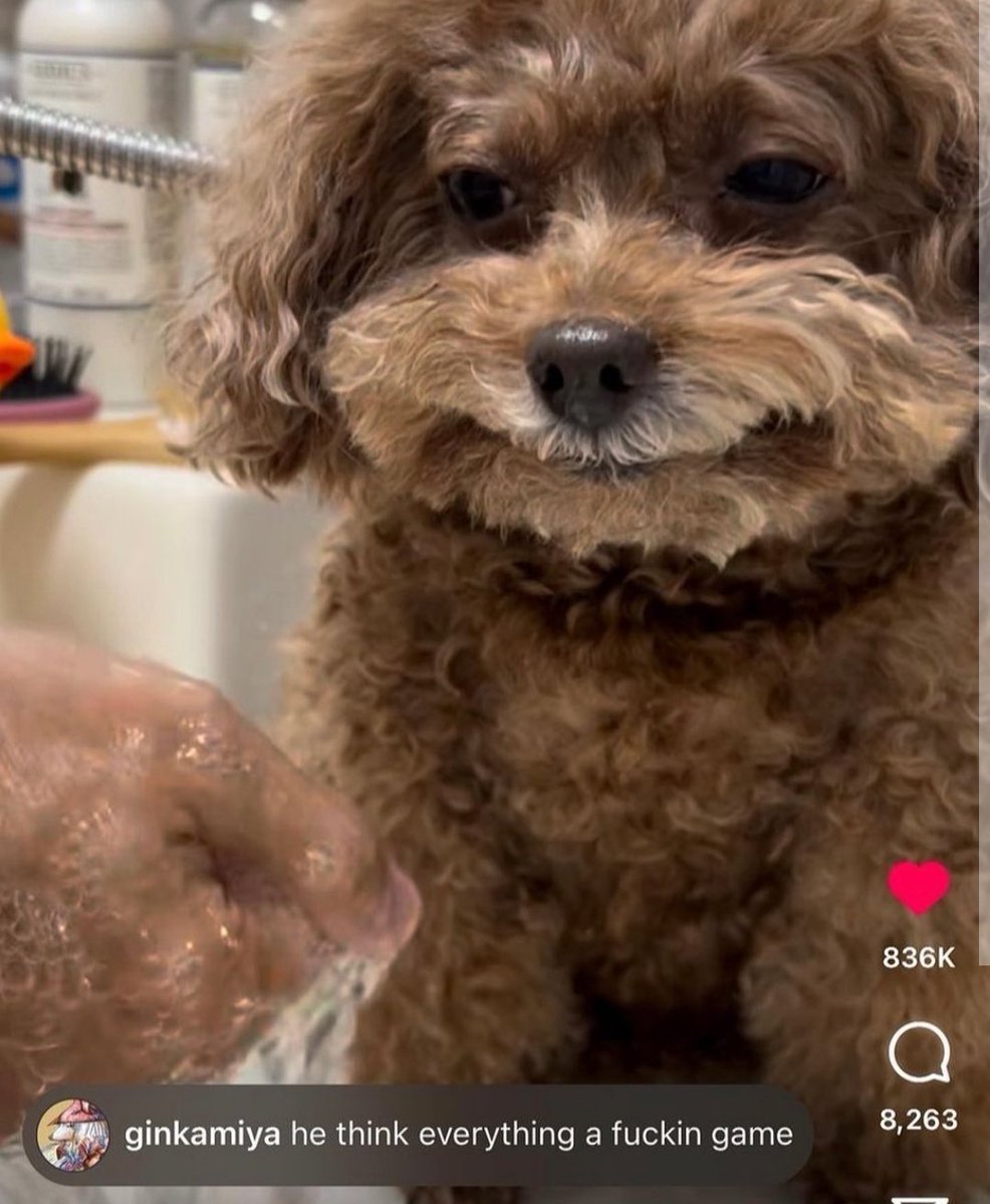 all just a big joke to him