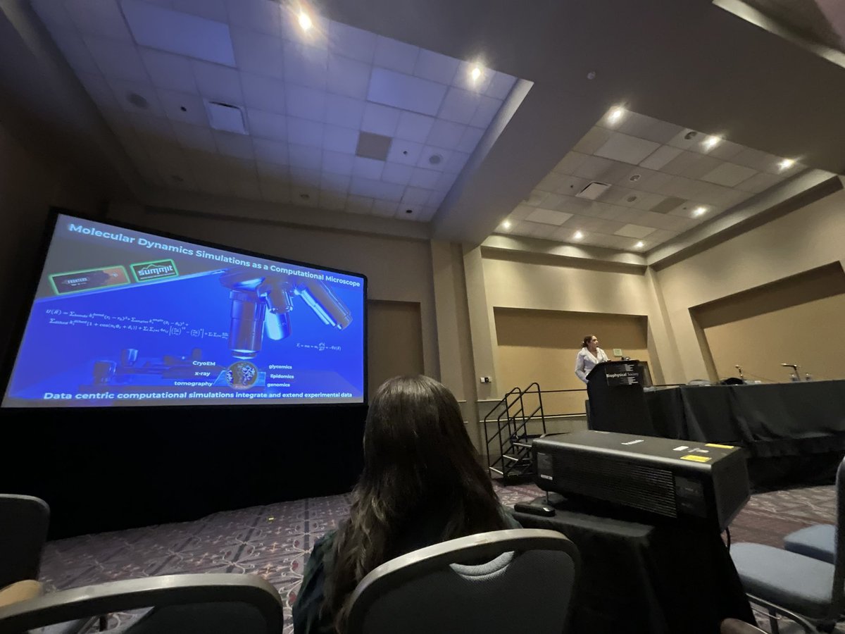 Mohamed Shehata tweet media