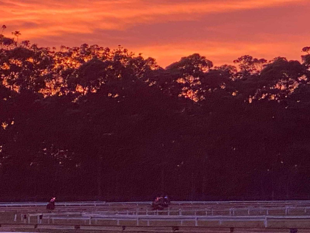Moruya's a magical place, and we're lucky to be training in such a beautiful part of the world. 

<a href="/moruyaraces/">Moruya Jockey Club</a> <a href="/7horseracing/">7HorseRacing 🐎</a>  <a href="/SkyRacingAU/">SKY Racing</a>