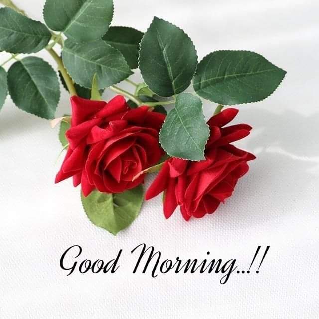 001Sukhdev's tweet photo. @atevmm https://t.co/rKVkjeasor