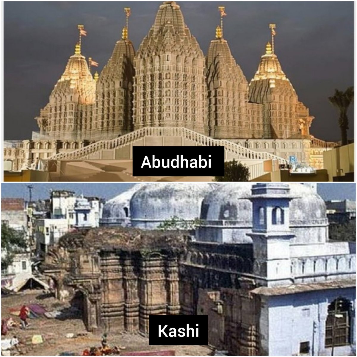 total_woke_'s tweet photo. Difference between Muslims and Converts

#AbuDhabiTemple https://t.co/s0aSS41TiR