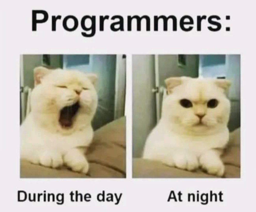 Sleepless 

#phd #PhD #phdlife #phdvoice #PhDposition #phdpositions #phdchat  #phdmemes #Researcher #research #researchmeme #researchers #moleculogy #molecularbiology #Genetics #genetic #Science #sciencememe #ScienceTwitter #ScienceLab #lab