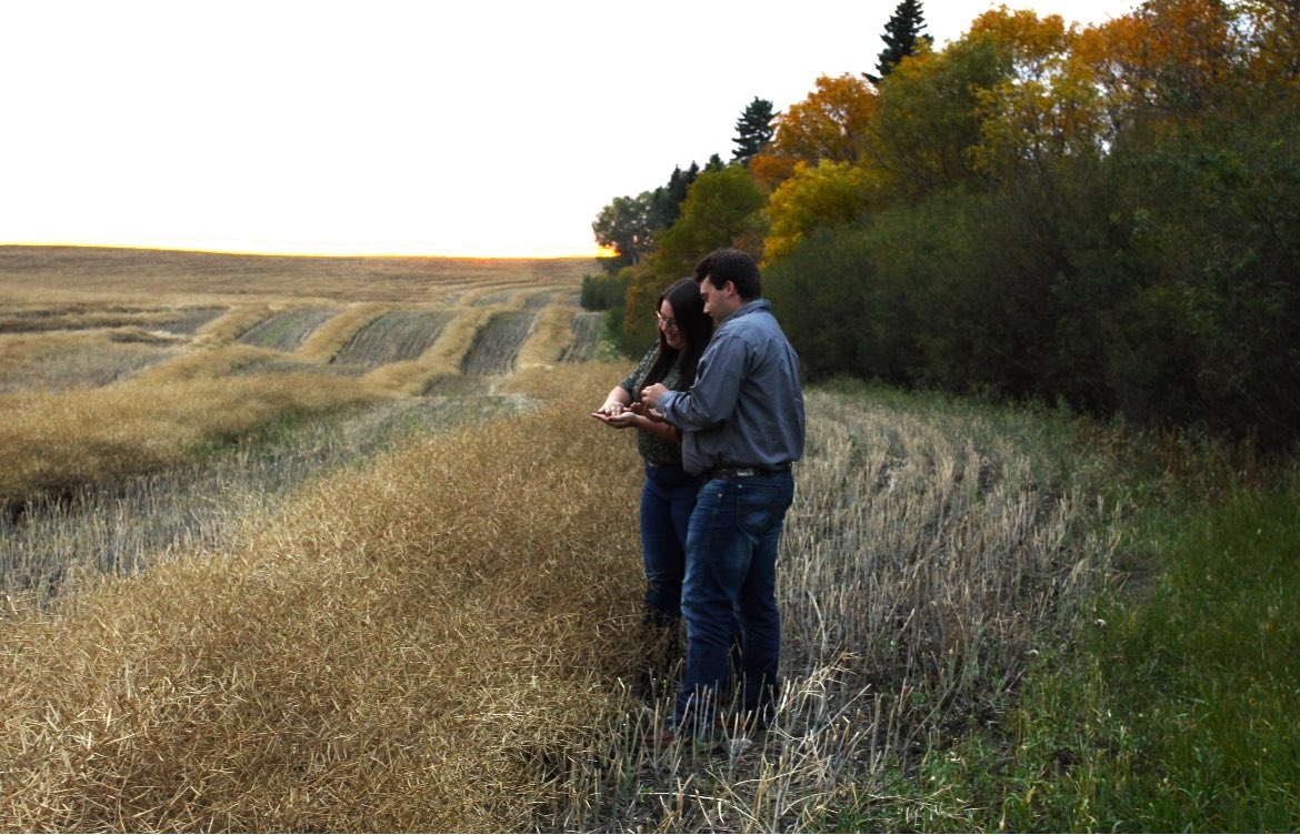 Kaylie Krys tweet media