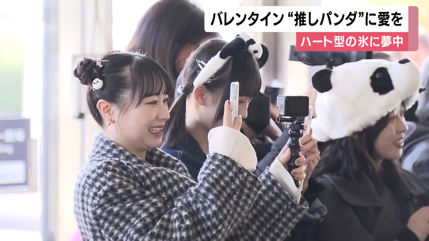 iwasaku_z's tweet photo. ヲタクが作ったコラ画像かと思ったらニュースに石田亜佑美ちゃんと小田さくらちゃんと山﨑愛生ちゃんが映ってる
【2/14のニュース】維新の市議が横領　党費を美容院やネイルサロン代に｜パンダに愛をプレゼント　14日はバレンタイン｜"刃物男"を制圧　JR車内... https://t.co/ADfjw6jGhI https://t.co/zQSLfVQmvK