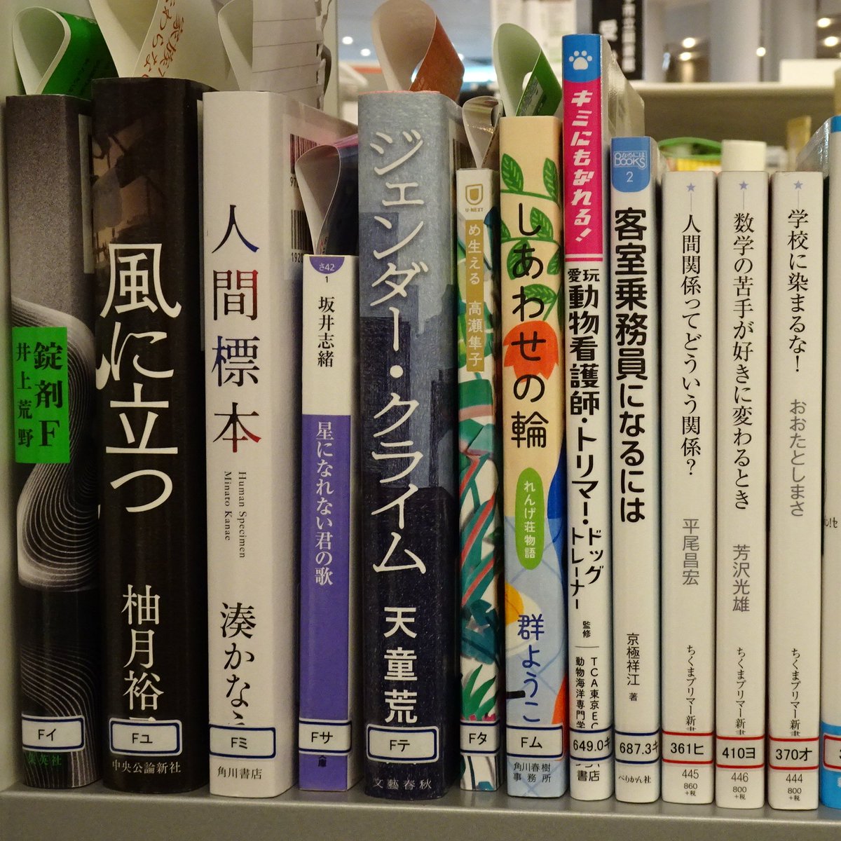 Iyoyumemiraikan's tweet photo. 伊予市立図書館にて、新着図書が到着いたしました。
児童、一般を含めて75冊の資料が追加されました。
これらの資料は2月12日から新着図書コーナーに並びます。

気になる図書を見つけた方はぜひ、伊予市立図書館に足を運んでみてください。 https://t.co/gmvv0urWhZ